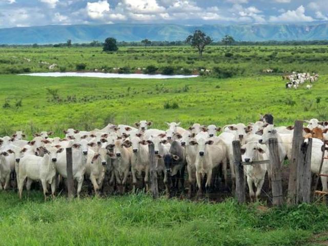 Fazenda