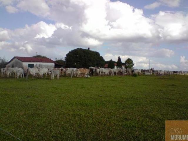 Fazenda