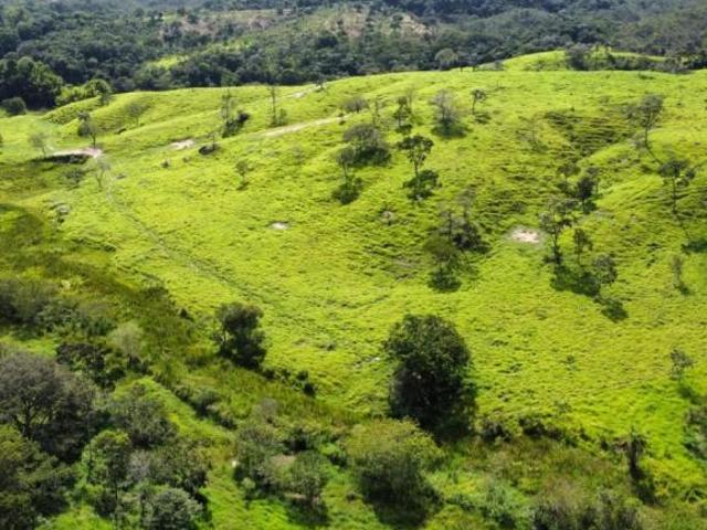 Fazenda