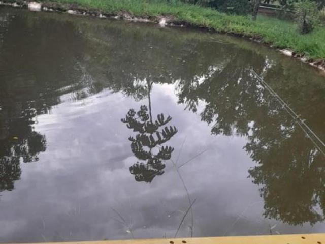 Fazenda
