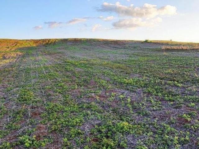 Fazenda