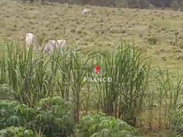 Fazenda
