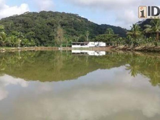 FAZENDA 80 ALQUEIRES 30 ALQ.EUCALIPTO ALAMBIQUE,TRATOR,CACHOEIRAS,10 LAGOS,TANQUES PARA CRIAÇÃO DE