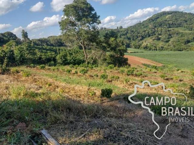 FAZENDA 80 HECTARES EM CONCEIÇÃO DO RIO VERDE MG !