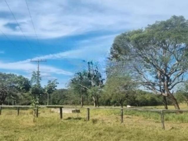 Fazenda