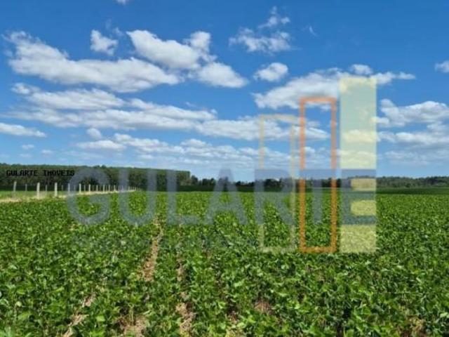 Fazenda