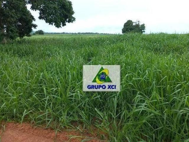 Fazenda
