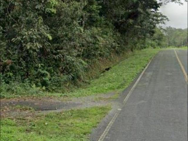 Fazenda