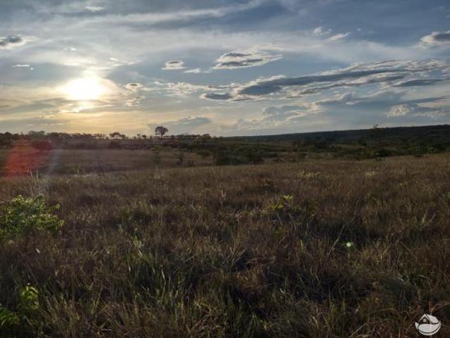 Fazenda