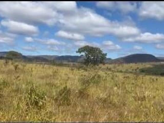 Fazenda