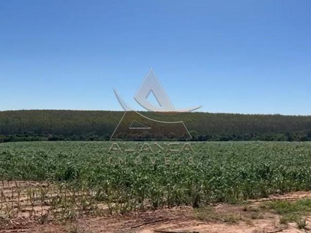 Fazenda
