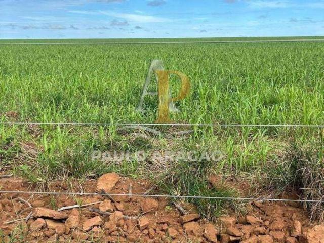 Fazenda