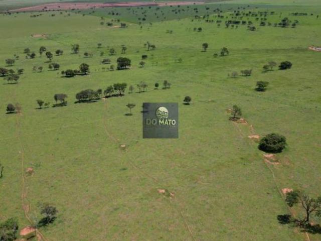 FAZENDA 968 HECTARES DUPLA APTIDAO EM CAMAPUA MS