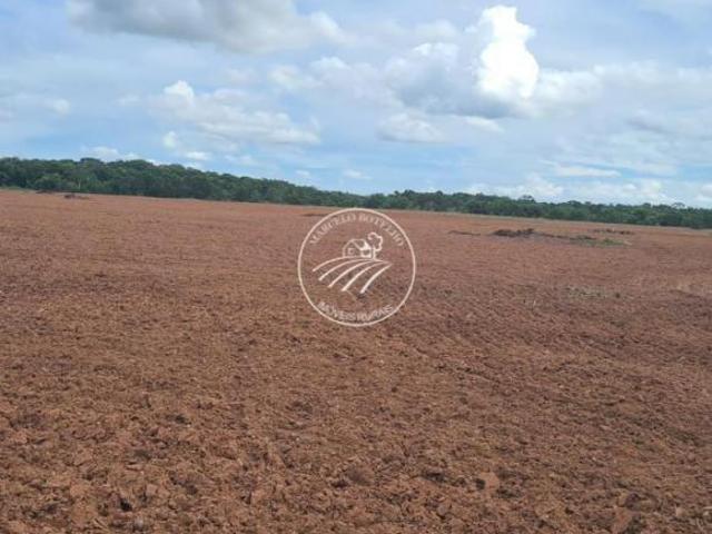 Fazenda