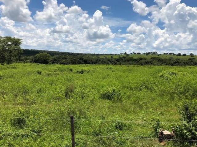 Fazenda
