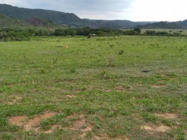 FAZENDA 904HA EM SANTO HIPOLITO MG
