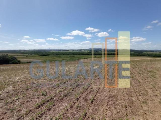 Fazenda para venda em Centro, Camaquã