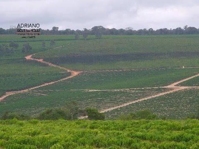 Fazenda
