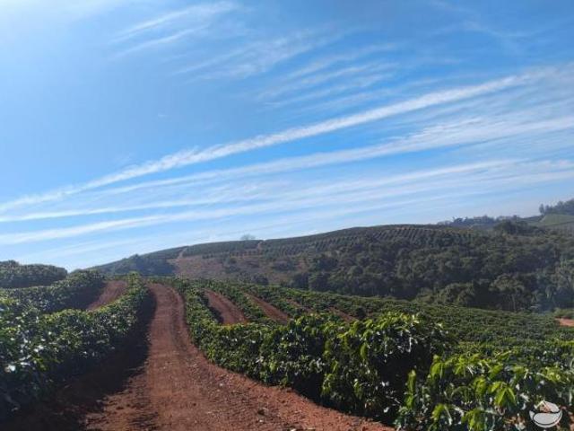 Fazenda