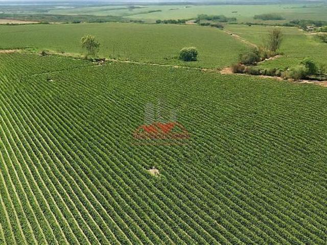 Fazenda