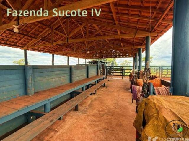 Fazenda