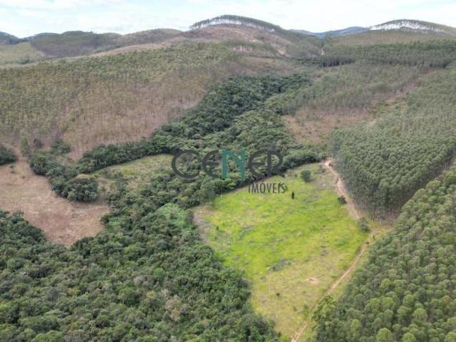 Fazendade 290 ha com 130 ha de eucalipto na reg de Juiz de Fora