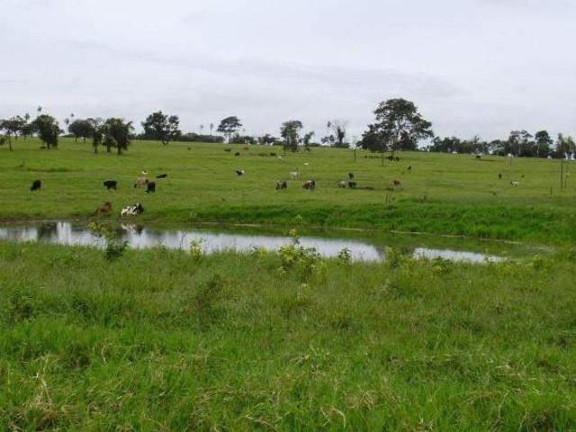 FAZENDANARANDIBA