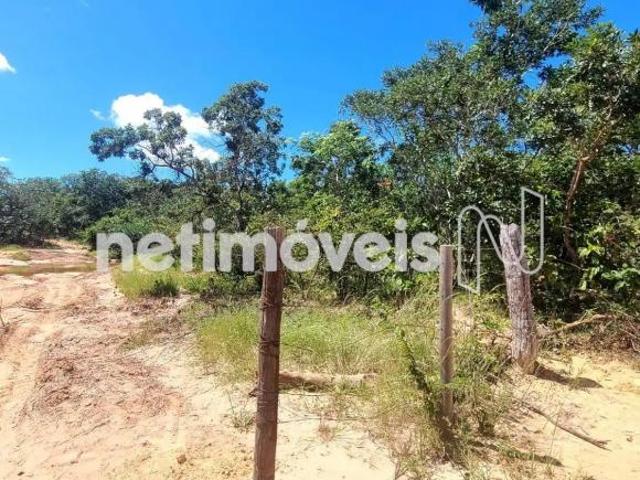 Fazendas no Município de Brasilândia de Minas MG 2.500 hectares