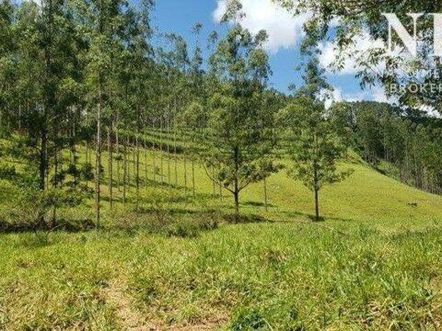 Fazenda/Sítio/Chácara para venda possui 20000 metros quadrados em Centro Coronel Pacheco