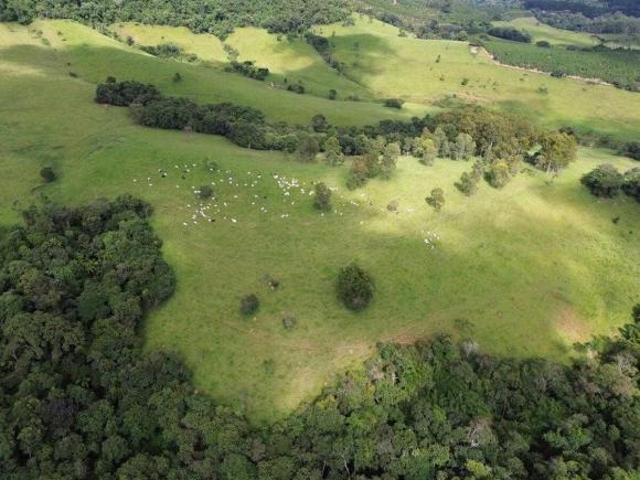 Fazendinha na regiao de Muzambinho/MG NJ1