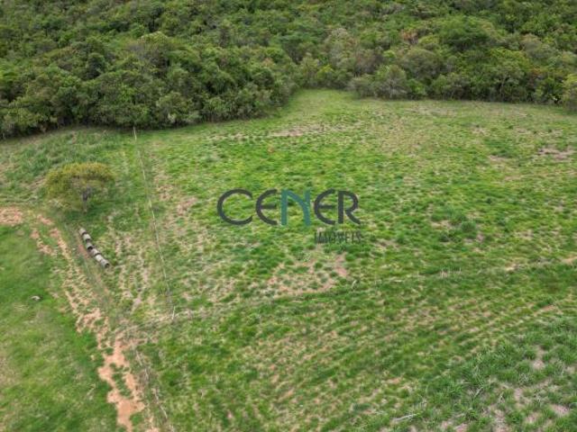 Fazendinha com estrutura de leite de 20 ha de porteira fechada em Desterro de Entre Rios