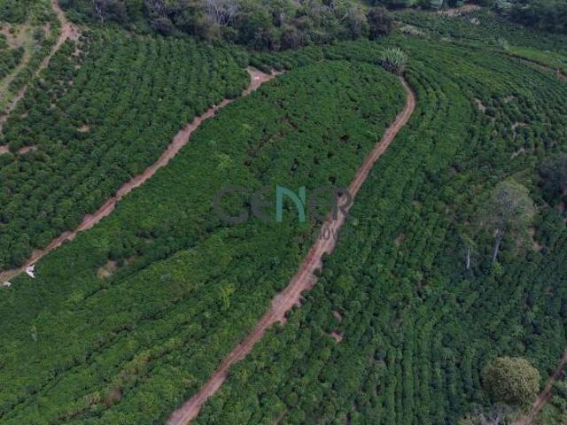 Fazendinha de 32 ha com produção de café na região de Gunhães em MG