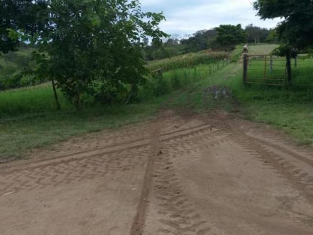 Fazendinha para Venda em Pequi, LIMEIRA, 3 dormitórios, 1 banheiro, 4 vagas