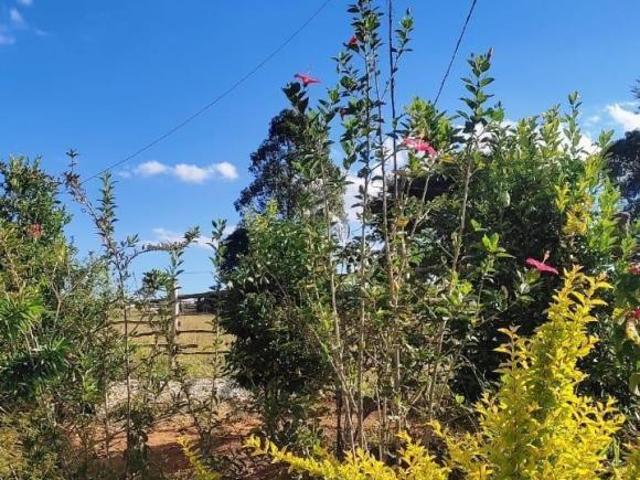 FAZENDINHA 09 HECTARES RICA DE ÁGUA E TERRA DE CULTURA À VENDA EM DESTERRO DE ENTRE RIOS/MG