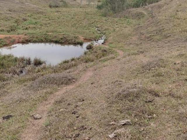 FAZENDINHA 18 HECTARES C/ NASCENTE ALTA E MUITA ÁGUA POR GRAVIDADE À VENDA EM PIEDADE DOS GERAIS/MG