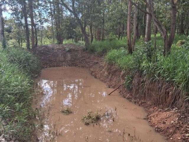 Fazendinha 11 há localizada a 10 km de Jequitibá/MG