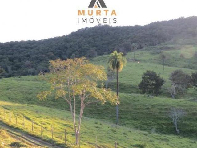 Fazendinha 28 ha 1.500.000,00