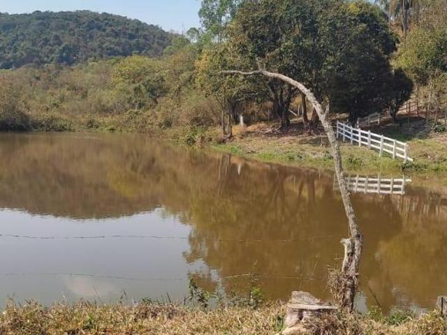 FAZENDINHA 34 HECTARES COM MUITA ÁGUA E LAGOAS À VENDA EM PIEDADE DOS GERAIS/MG