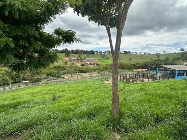 FAZENDINHA 7 HECTARES PIQUETADA, IRRIGADA E COM ÓTIMA ESTRTUTURA À VENDA EM PIRACEMA/MG