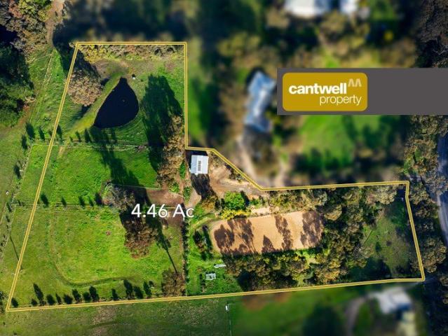 Fenced Paddocks, Arena and Views to Mount Alexander