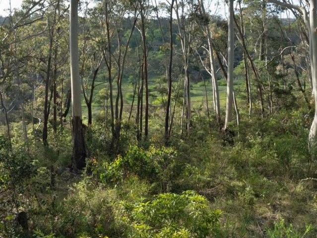 Fenced Vacant Land with Endless Potential