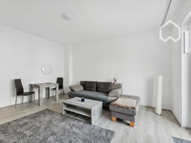 Feel at home in a 3 room non smoking apartment, which was completely renovated in 2024 and is fully refurbished Berlin Amsterdam Apartments for Rent