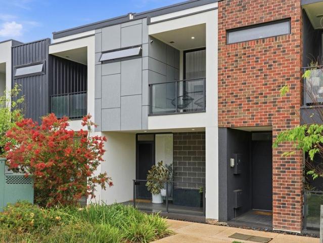 Feel At Home With Light Filled Spaces & Easy Living In Tonsley