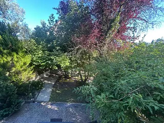 Fegersheim 67640 Achat / Vente maison 4 pièces t4 terrasse