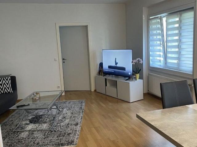 Fein – Klein – Mein! Leben und Wohnen in Baden!