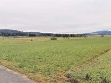 Feld, Wiese, Weide