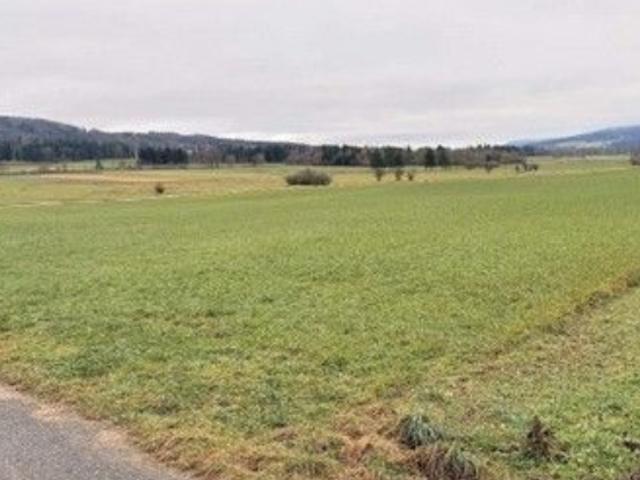 Feld, Wiese, Weide