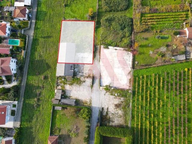 Felgueiras Felgueiras 4615 380 99311329