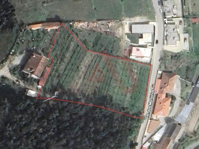 Felgueiras Felgueiras 87208072