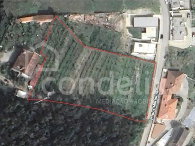 Felgueiras Felgueiras 99381445
